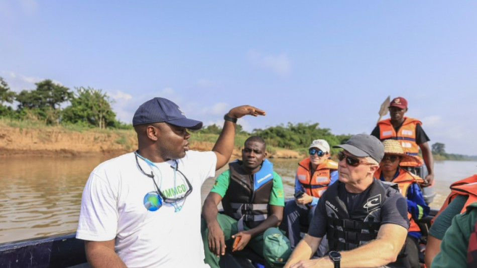 Le combat d'un chercheur camerounais pour les lamantins d'Afrique