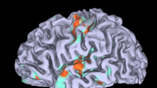 Così il cervello divide la giornata in capitoli