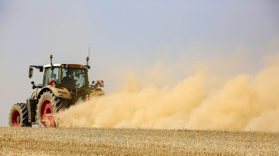 Torriero (Abi), servono nuovi strumenti credito per agricoltura