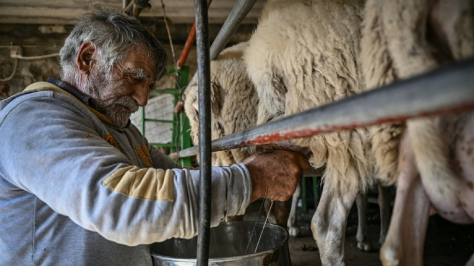 Celebrated Greek cheesemakers brought low by inflation