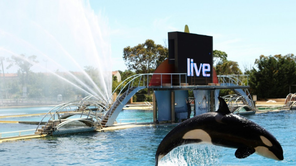 Orques de Marineland: Pannier-Runacher veut un sanctuaire européen