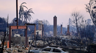 Voraces incendios en Los Ángeles amenazan a Hollywood