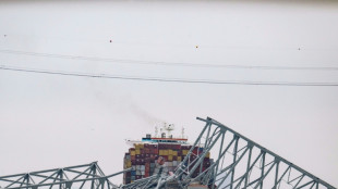 Comienzan las tareas de desescombro tras derrumbe de puente en Estados Unidos