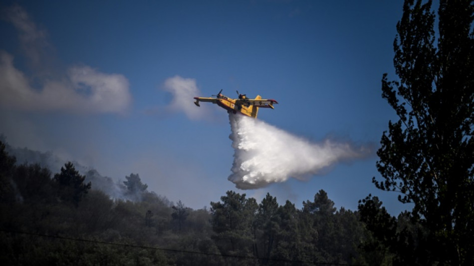 Dominado el gran incendio en Portugal, la lluvia da un respiro en España