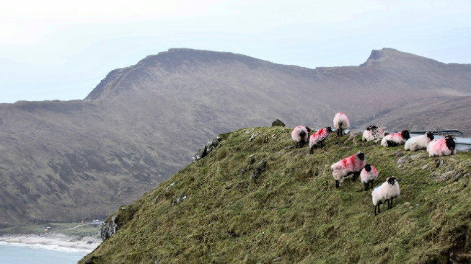 Remotas islas irlandesas disfrutan el atractivo turístico de los Oscar