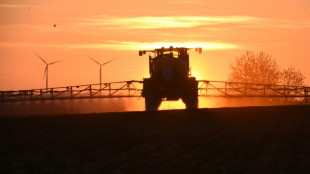 Foodwatch beklagt "massiven" Pestizideinsatz in Getreideproduktion