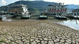 Chinese city dims lights in heatwave power crunch