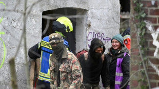 Last anti-coal activists leave German village, ending police eviction