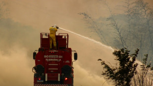 Le Brésil "en guerre" contre les incendies dans le sud-est