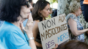 Corse: des associations demandent la limitation des escales de bateaux de croisière