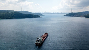 Grain ships depart Ukraine as Kyiv, Moscow trade blame over nuclear plant