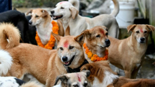 El día del perro en Nepal como parte de celebraciones hindúes