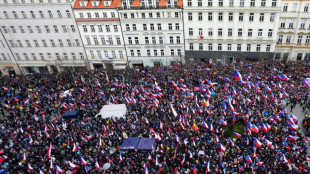 Tausende protestieren in Prag gegen tschechische Regierung und Armut