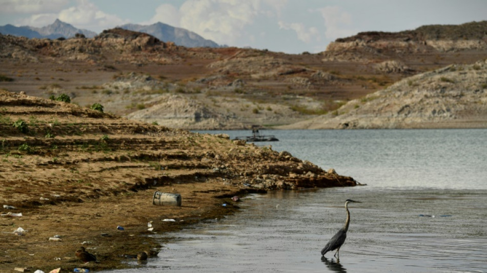 Washington kürzt Wasseranteil aus Colorado River für Bundesstaaten und Mexiko