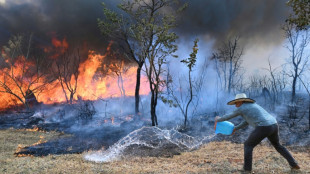 Devastação por incêndios cresceu 79% em 2024 no Brasil