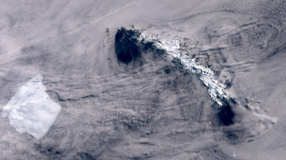 Le plus grand iceberg du monde s'immobilise près d'une île riche en faune sauvage