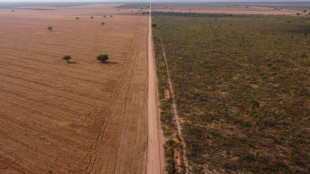 Corrida para salvar Amazônia relega Cerrado, 'berço das águas', a segundo plano