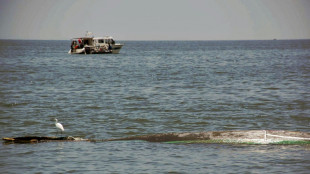 Un avión de pasajeros cae en el lago Victoria en Tanzania 