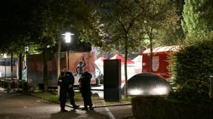 Several dead and injured in attack on German festival: media