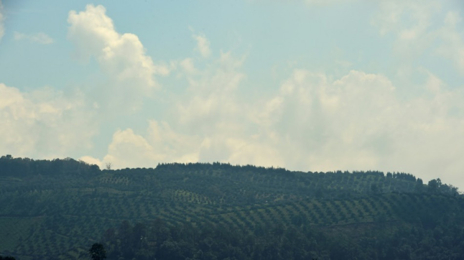 Agricultura intensiva y deforestación llevan al planeta al "borde del precipicio", según la ONU