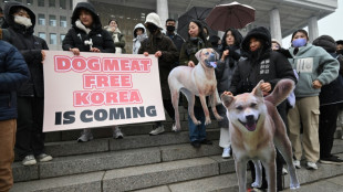 Parlamento da Coreia do Sul proíbe o comércio de carne de cachorro