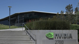 US-Chiphersteller Nvidia verzeichnet Nettogewinn von 19,3 Milliarden Dollar