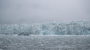 Una frana in Groenlandia ha fatto tremare la Terra per 9 giorni