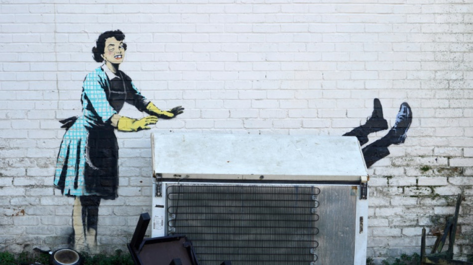 UK council returns Banksy freezer