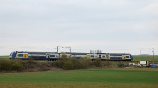 Deux militaires tués dans une collision avec un train à un passage à niveau