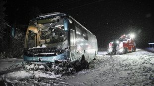 Two dead after Lapland tourist bus crash in Finland