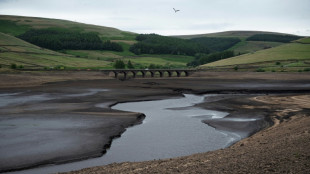 2023 set to be UK's second-hottest year: Met Office