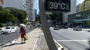 Brazil says 2024 was its hottest year on record