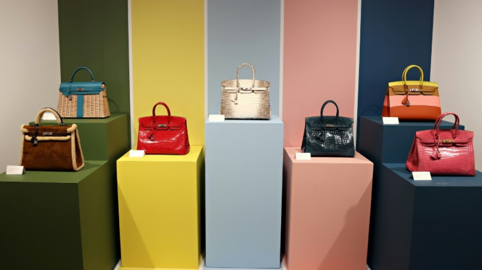 USA: un artiste condamné pour des NFT de sacs Hermès, créés sans autorisation