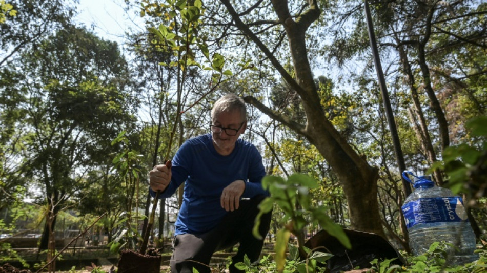 A tarefa 'quixotesca' de um homem para tornar mais verde a cinzenta São Paulo