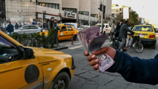 Syria's economy reborn after being freed from Assad