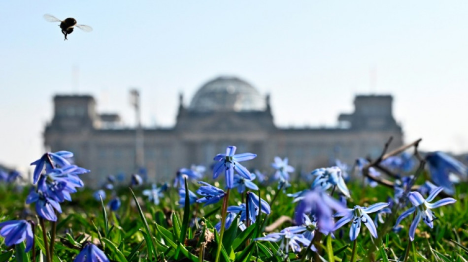 Bundestag berät über Gesetz zu Schutz von Betriebsräten