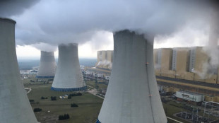 Angelini (Bankitalia),in aumento contenziosi legati a clima