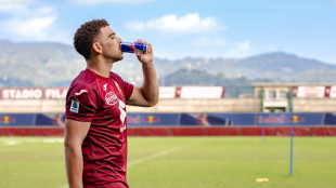 Il Torino annuncia una partnership con Red Bull