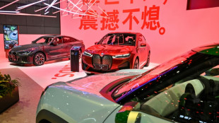 Chef der Bundesbank rät von hohen Zöllen auf chinesische E-Autos ab