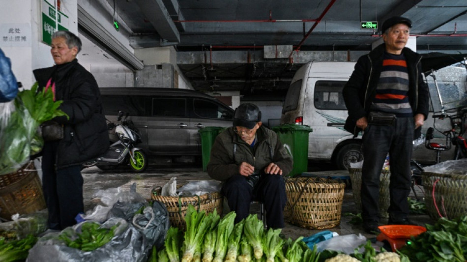 Chine: le périple quotidien des agriculteurs âgés pour gagner un complément de revenu