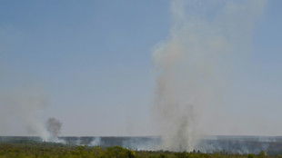 "Intentamos evitar el fin del mundo": la justicia brasileña defiende los gastos por los incendios