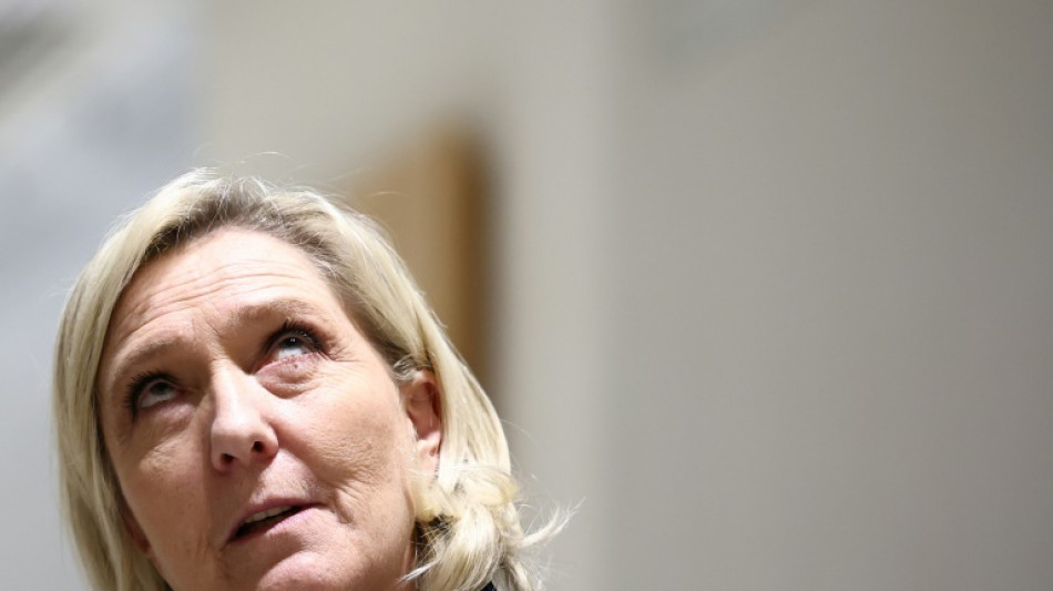 Procès RN: la parole à la défense de Marine Le Pen pour lui éviter la "mort politique"