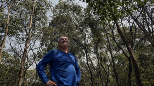 Du vert sur le béton à Sao Paulo, le pari "fou" d'un Brésilien