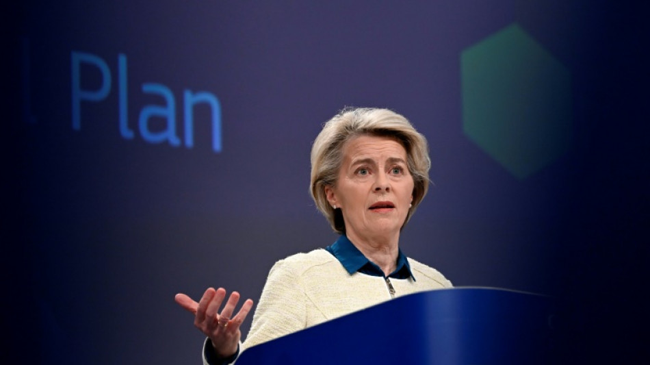 Von der Leyen setzt auf EU-Staatshilfen für "grüne" Technologien