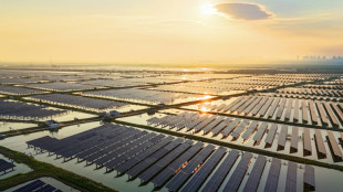 Australia greenlights world's 'largest' solar hub