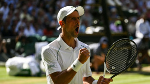 Djokovic zum achten Mal im Wimbledon-Finale