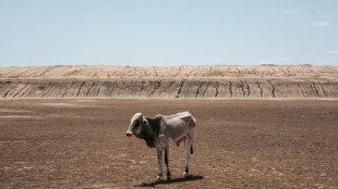 La ONU advierte de un episodio cálido con récord de temperaturas tras el fin de La Niña