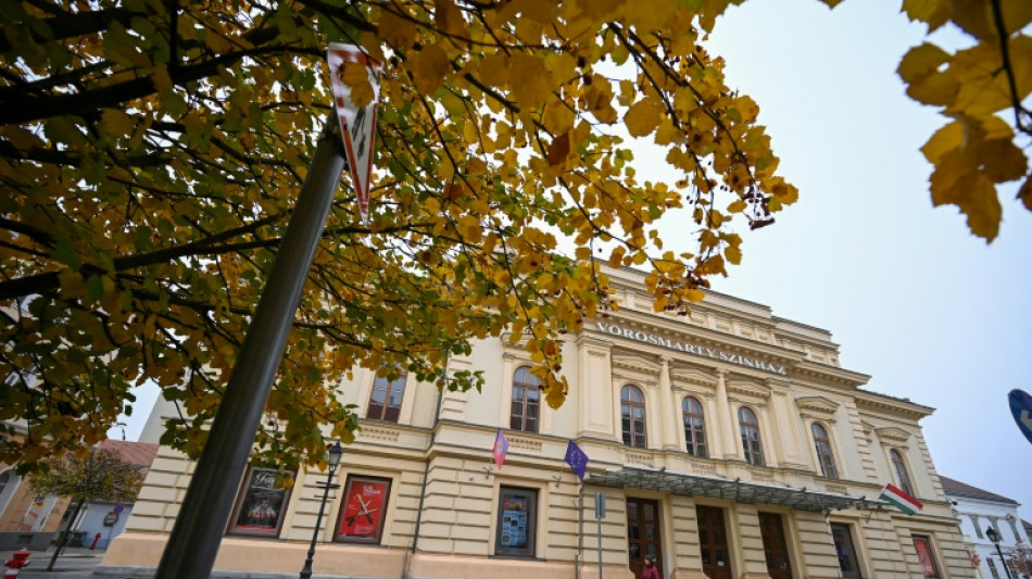 Lights go out on Hungary stadiums, theatres as energy crisis bites