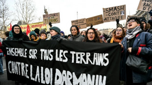 Les opposants à la loi immigration jettent leurs dernières forces dans la rue