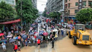 China bridge collapse kills 12, leaves more than 30 missing